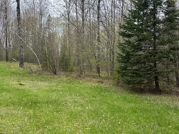 7835N Cricket Lane, Winter, WI 54896