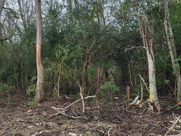 Tbd Wikoff Cove Dr, Church Pt, LA 70525