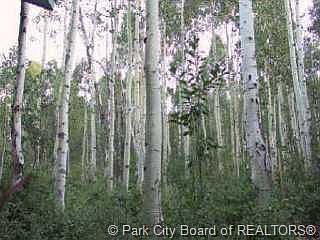 3rd image of 1072 Stonebridge Cir #26