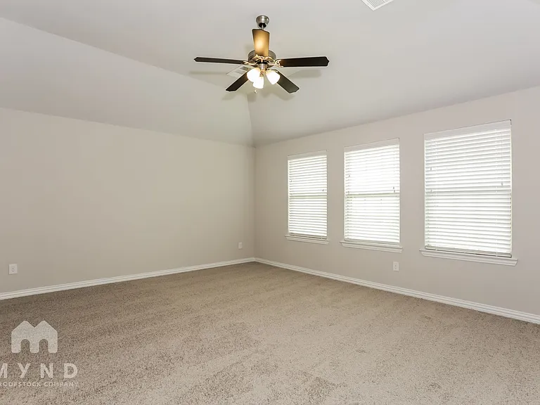 3113 Damsel Sauvage Ln — Photo 19