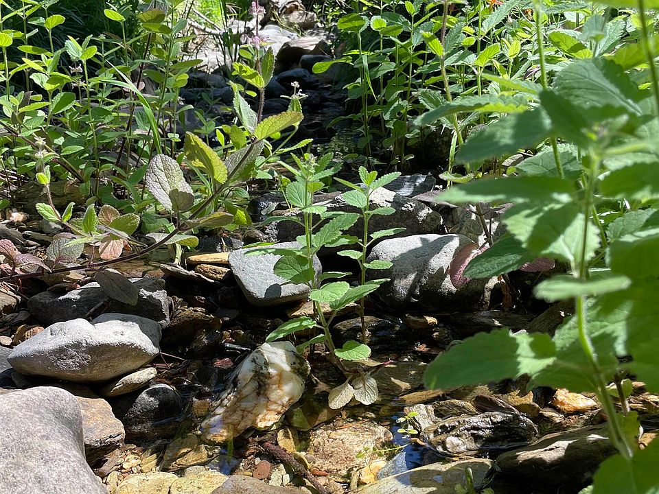 14500 Sloat McRae Rd, Johnsville, CA 96103 MLS 20230872 Zillow