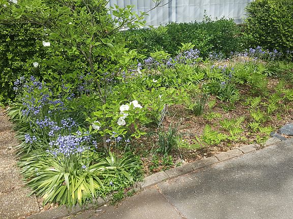 Flower Garden