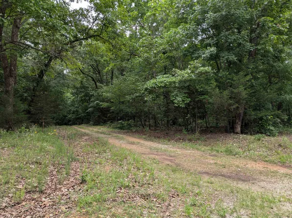 Kimberly Dr, Williford, AR 72482