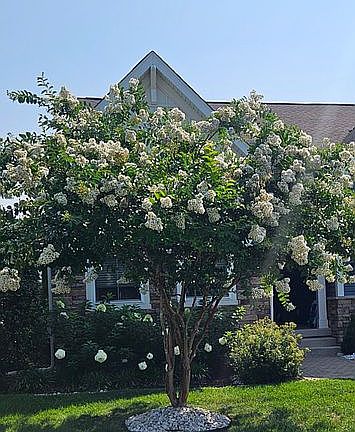 3rd image of 25523 Fox Point Ln