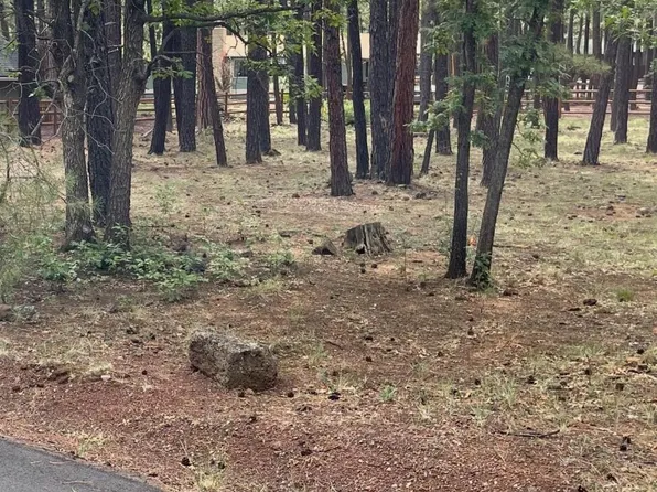 6567 Palomino Dr Lot 165-3, Pinetop, AZ 85935