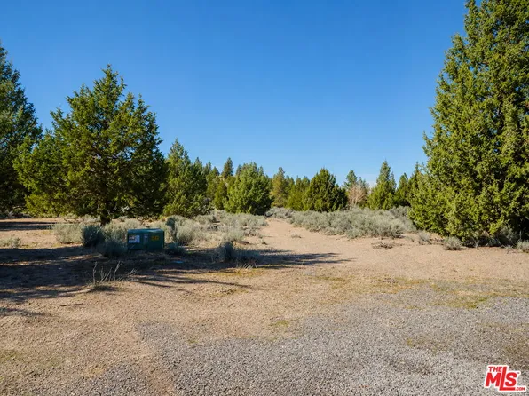 16728 Devlin Ct, Weed, CA 96094