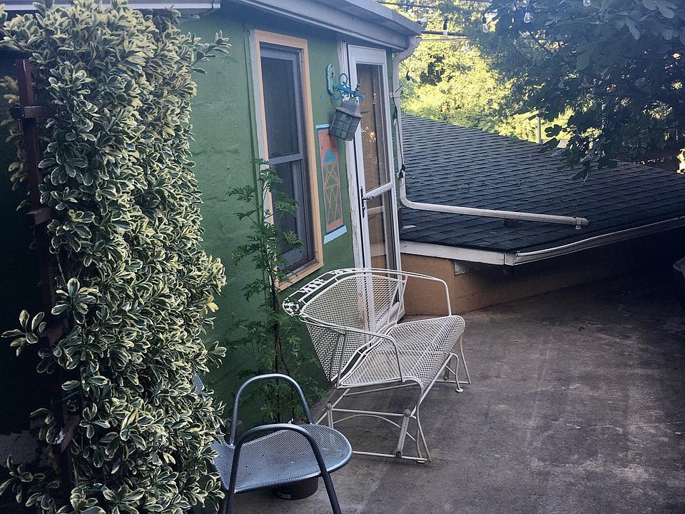 This is the patio. The fig tree in in the right corner of the frame.