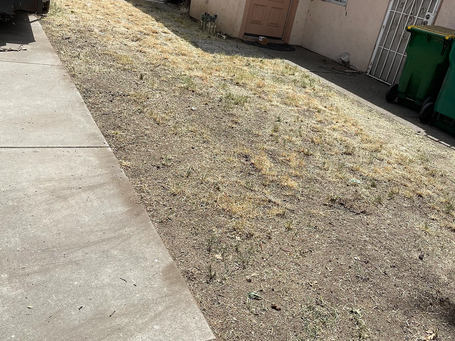 1310 Princess Dr — Photo 2