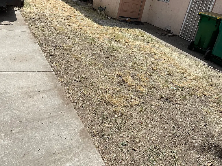 1310 Princess Dr #A — Photo 2