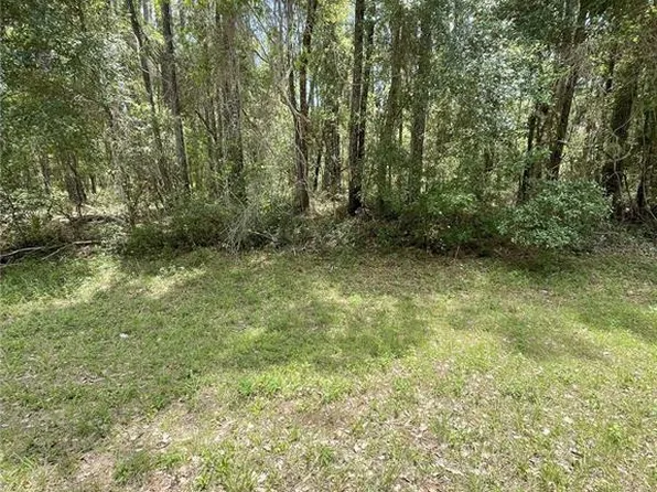 9238 N Athenia Dr #19, Citrus Springs, FL 34434
