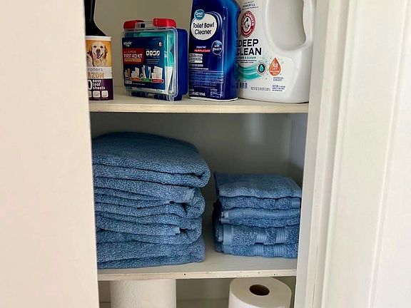 Hall closet stocked with cleaning essentials and linens