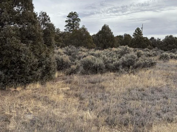 Lots 2 & 3 Parkview Hls, Los Ojos, NM 87551