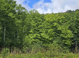 1216 Bundy Rd, Mancelona, MI 49659