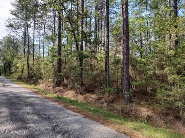 No Magnolia Ln Lot 12, Poplarville, MS 39470