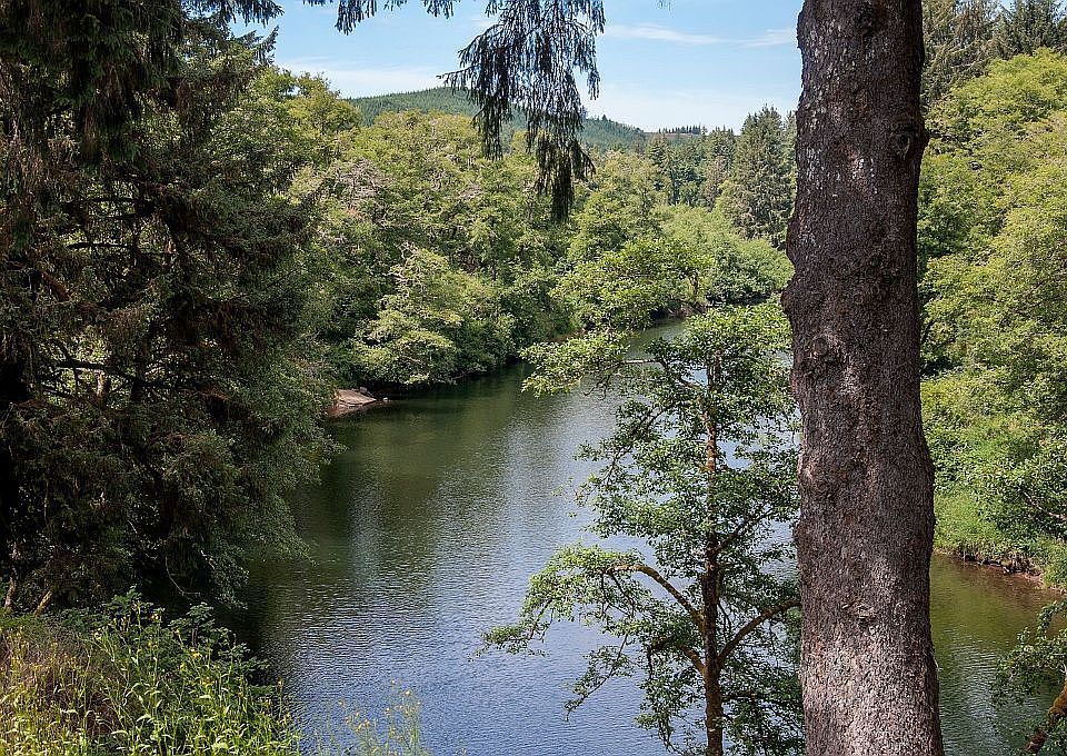 Siletz River View