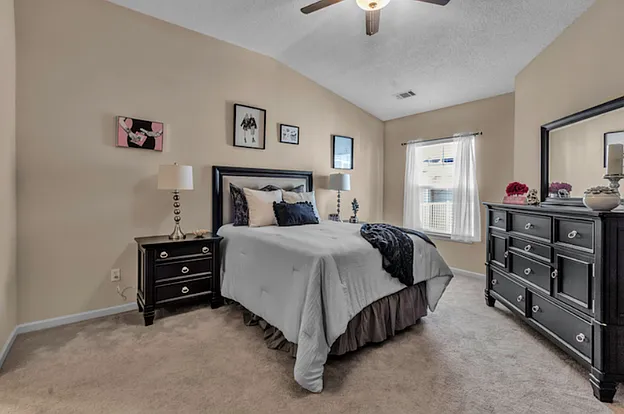 Master Suite with Soaring Ceilings and Ceiling Fan