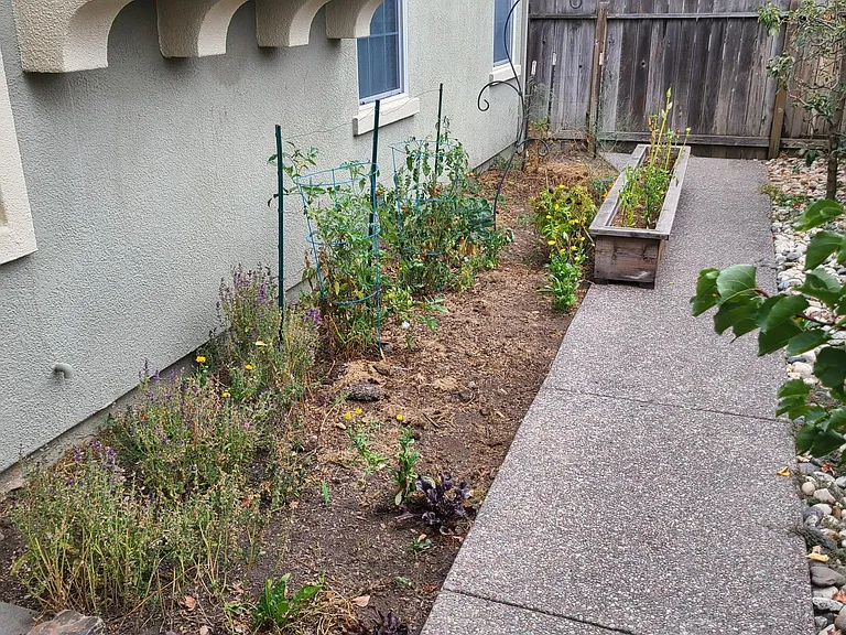 Jainine St — Photo 24