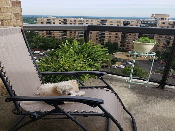 Dog friendly
