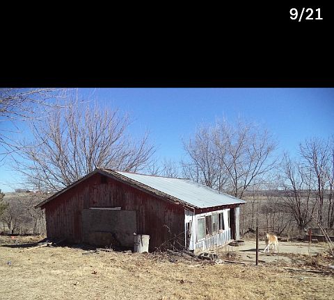 Chicken OR any animal