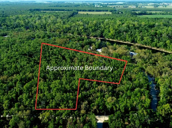 NE Tansy Road Trestle Dr, Mayo, FL 32066