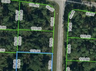 4431 Gerona Ave, Sebring, FL 33872