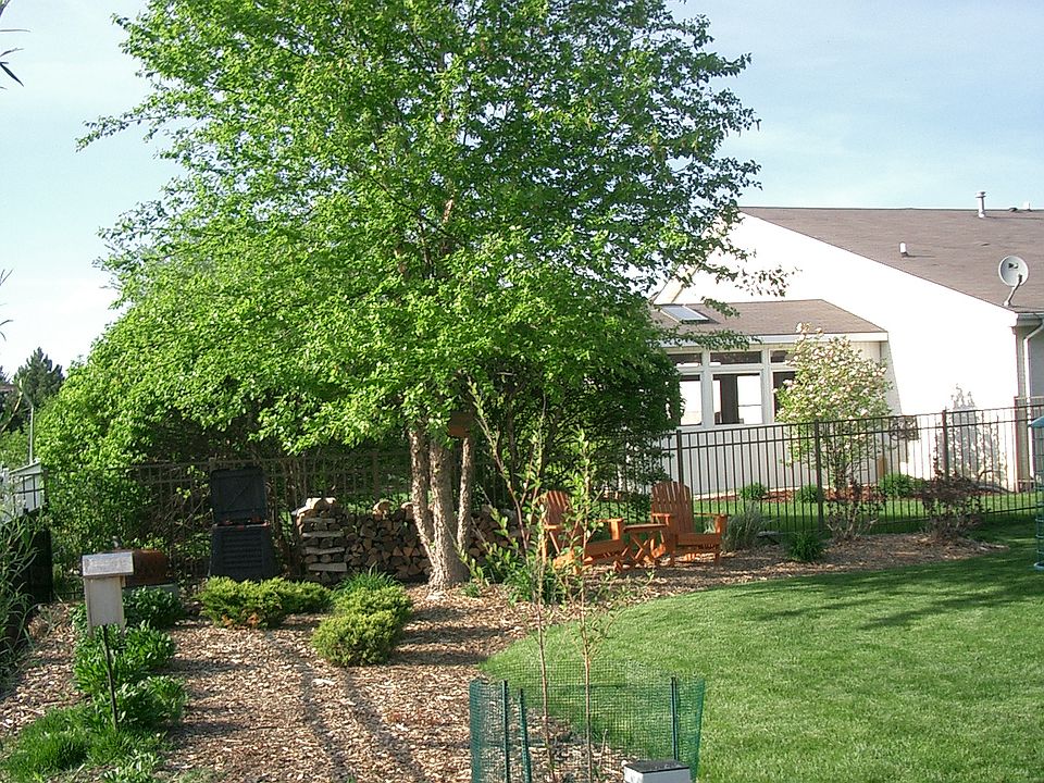 looking N thru yard