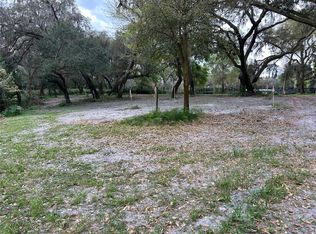 Chameleon Rd, Pierson, FL 32180