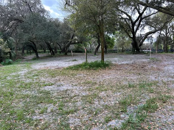 Chameleon Rd, Pierson, FL 32180