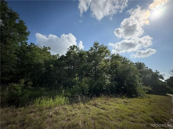 2813 Van Buren St W, Inverness, FL 34453