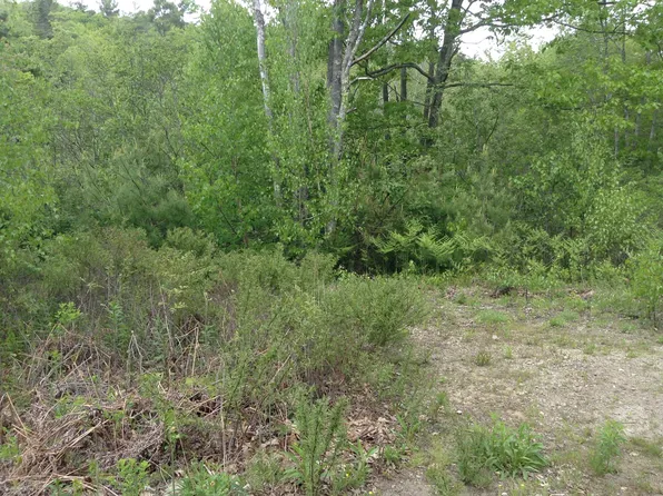 1593 Main Rd, Phippsburg, ME 04562