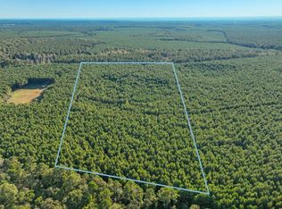 0 Bluewater Rd, Livingston, TX 77351