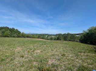 4 Horizon Dr, Ruckersville, VA 22968