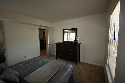3rd image of 1116 Bonhomme Lake Dr APT A