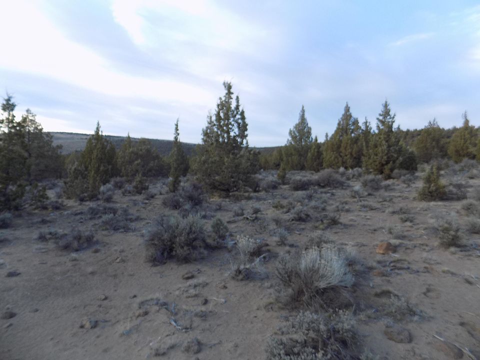 2nd image of 1100 Goldenview Rnch