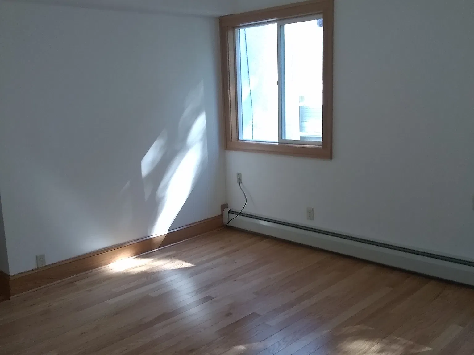 1 bed, 560 sqft, $975 — Photo 1