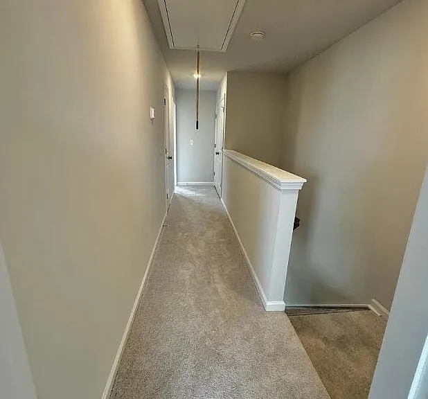 2636 Chert Ln — Photo 13