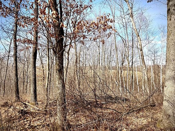 5th image of County Road M