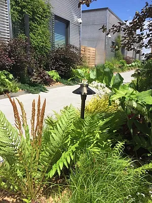 Rented by Nooklyn NYC LLC | media 30