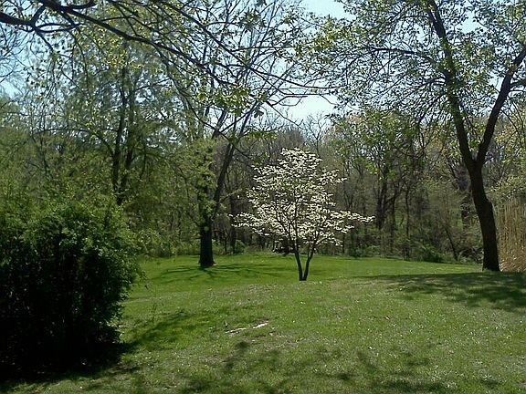 Side of home toward backyard