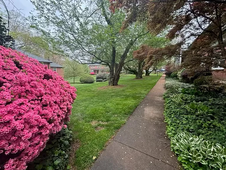 Great courtyard out front. This is the sidewalk to the townhome.