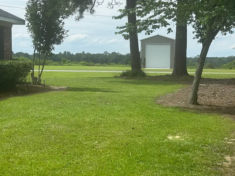 Side yard