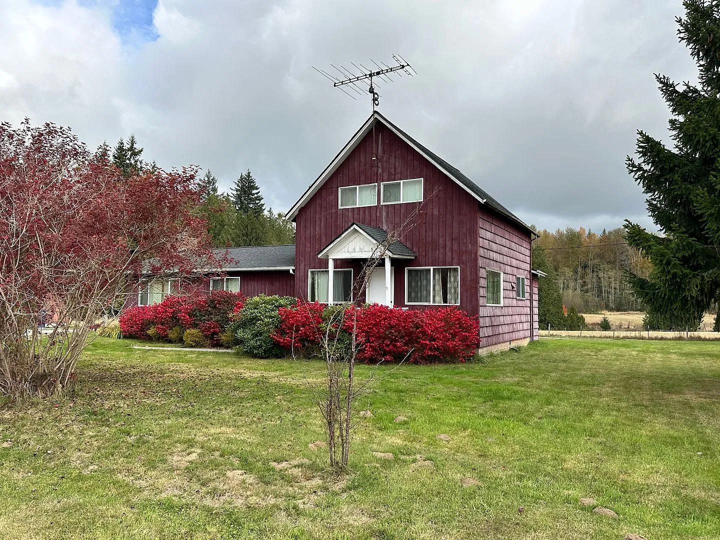 Country Living — Photo 3