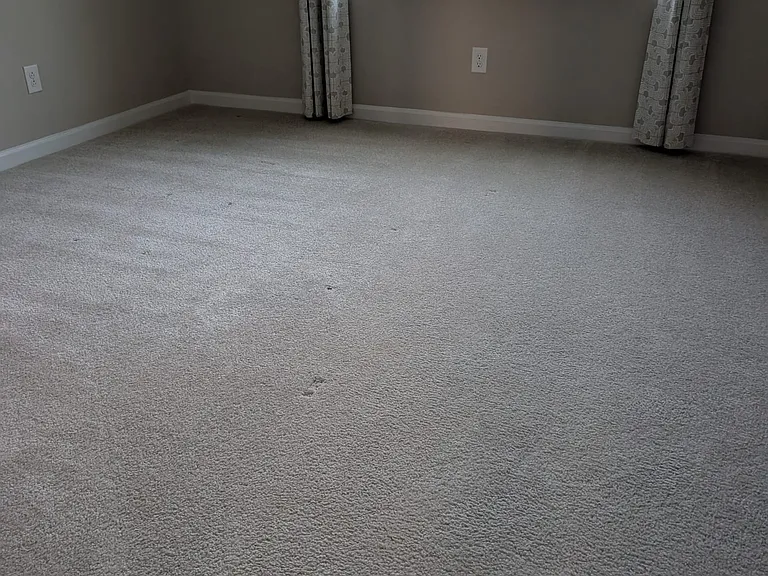 5004 Stevedore Way — Photo 3