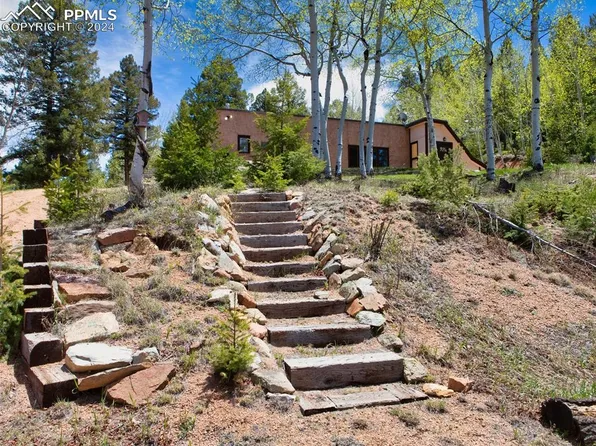 106 Agate Rd, Florissant, CO 80816