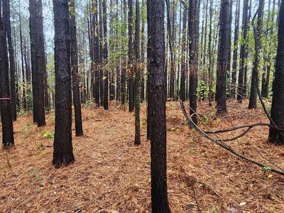 1371 Rocky Ridge Rd, Camden, TN, 38320