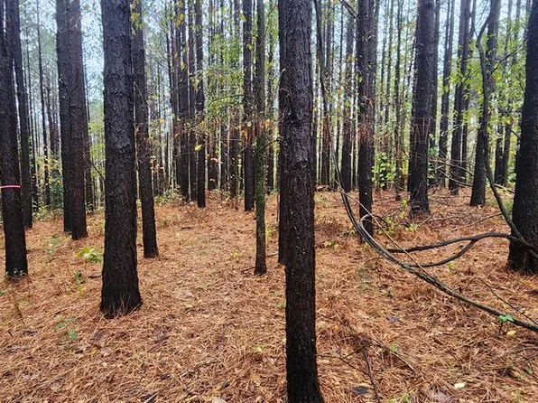 1371 Rocky Ridge Rd, Camden, TN 38320