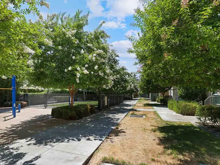 Meridian at Midtown — Photo 10