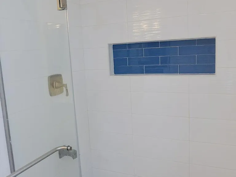 Master Bath Shower