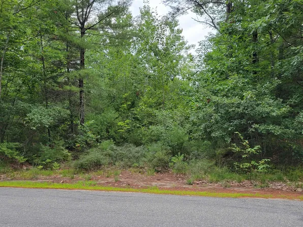 0 Pine River Road, Effingham, NH 03882