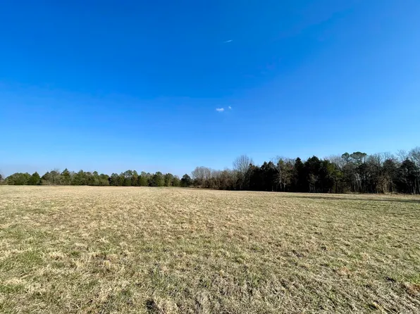 5623 Blackland Rd, Pleasant Plains, AR 72568